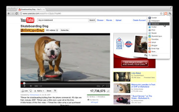 beardedspice chrome beardedspice chrome